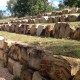 Sandstone_Rock_Wall_Upper_Tenthill-03